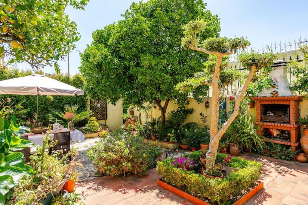 Studio & Garden Лиссабон Экстерьер фото